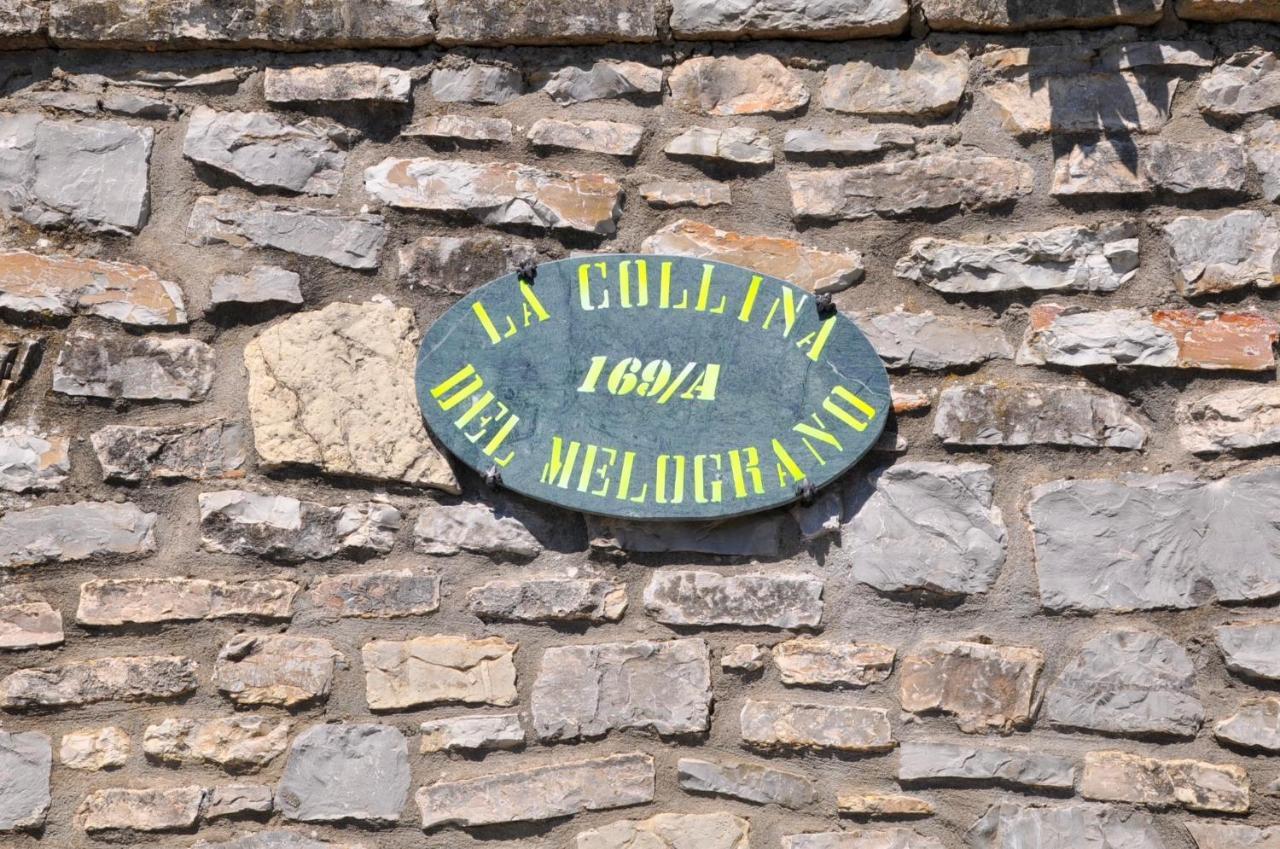 La Collina Del Melograno 호텔 시나룬가 외부 사진